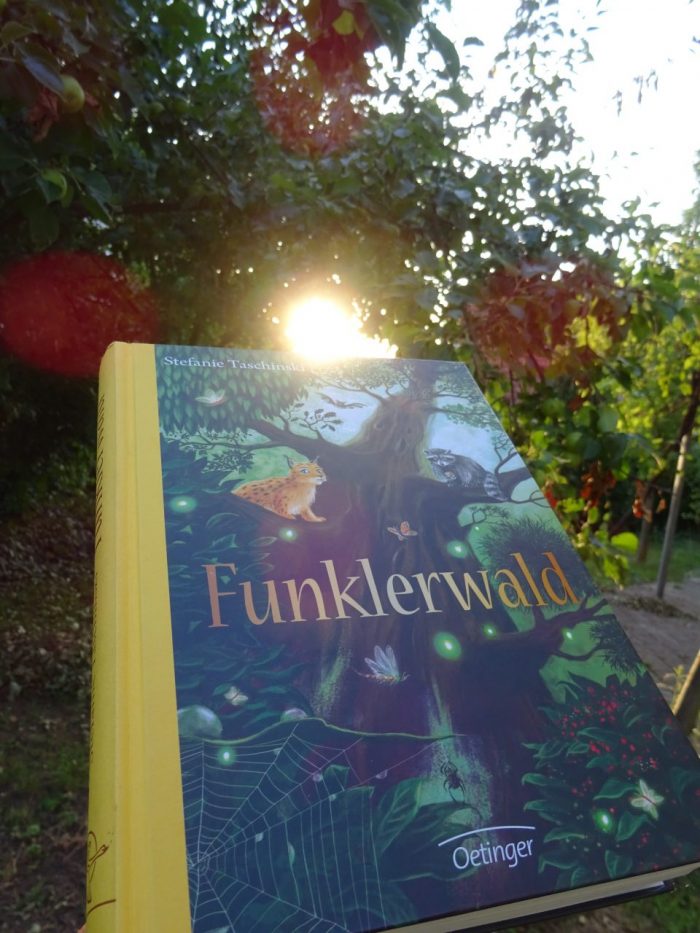 "Funklerwald" wird von der Abendsonne beleuchtet.